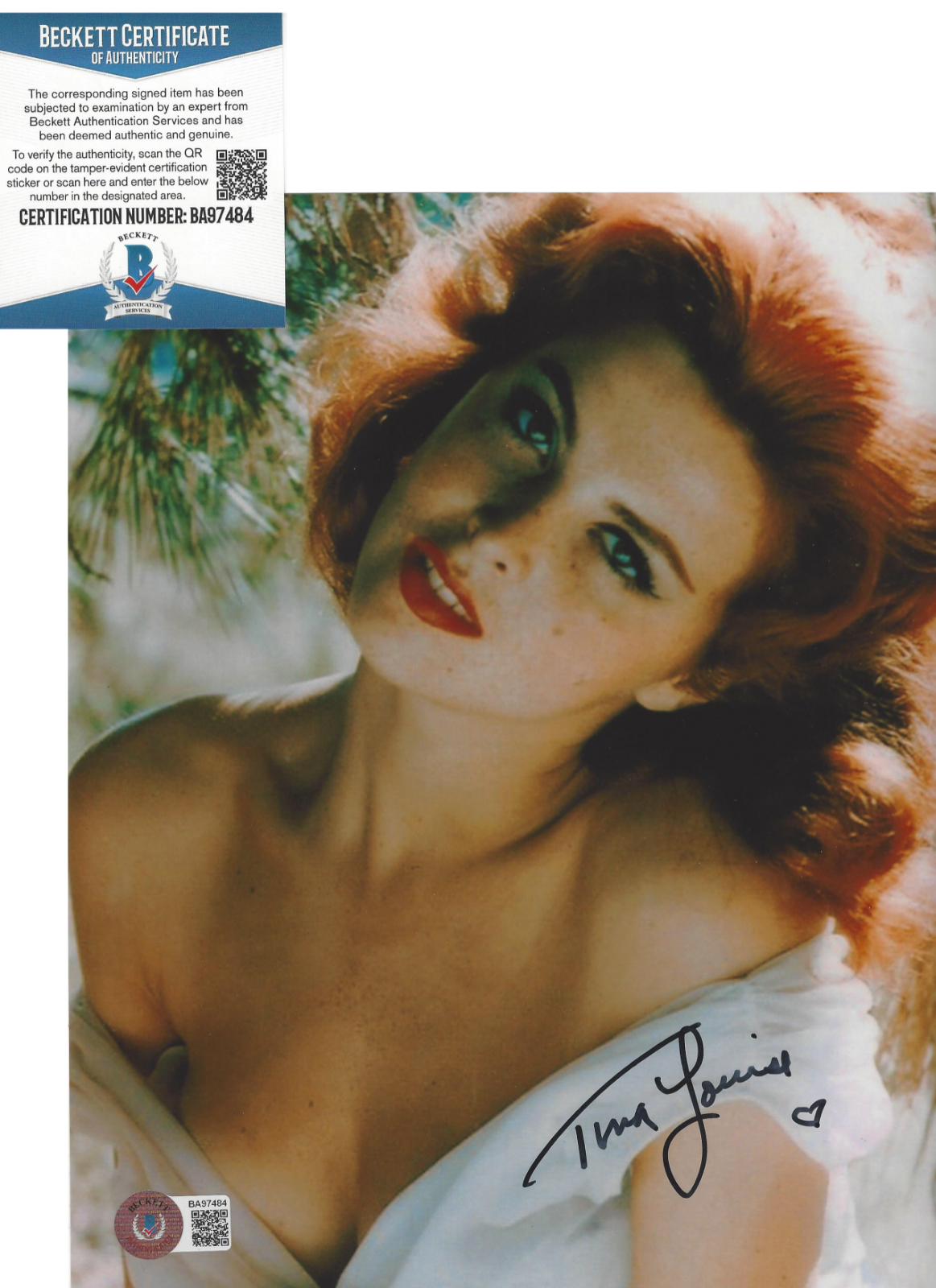 TINA LOUISE SIGNED 'GILLIGAN'S ISLAND' 8x10 Photo Poster painting 1 SEXY ACTRESS BECKETT COA BAS