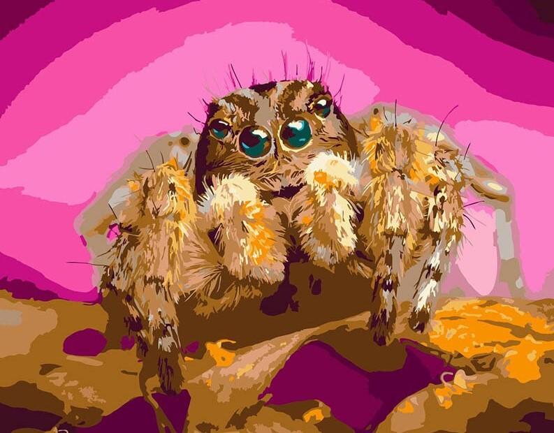 

Pink Spider – Paint By Numbers - 40*50CM, 501 Original