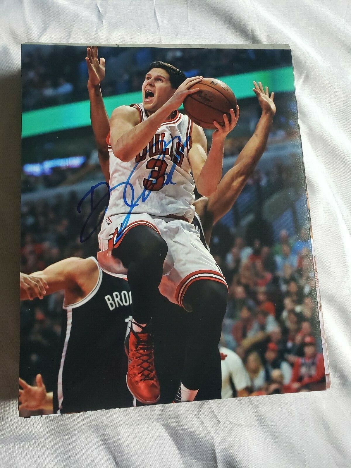 DOUG MCDERMOTT CHICAGO BULLS SIGNED AUTOGRAPHED 8x10 Photo Poster painting COA BASKETBALL PACERS