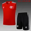 2025/2026 Flamengo Pre-Match Training Red Vest+Shorts Football1:1 Thai Quality