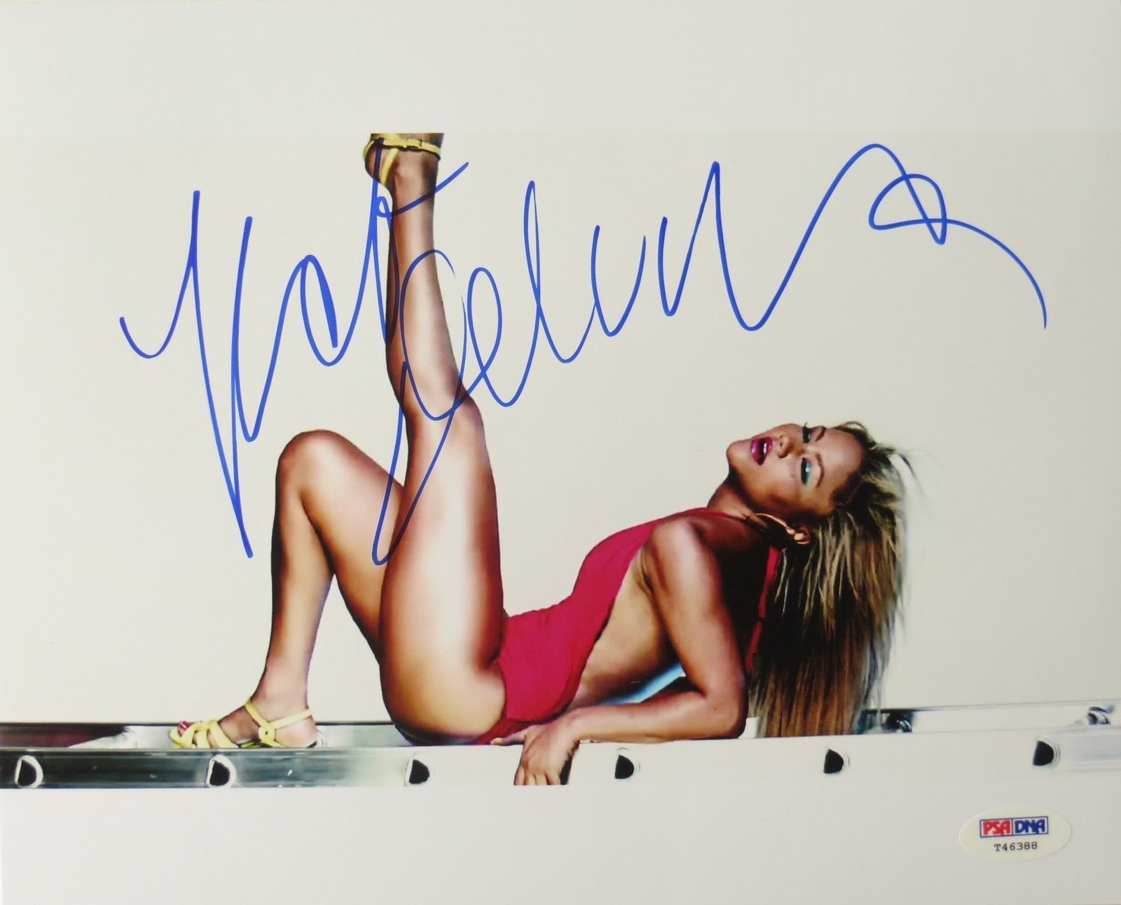 Kat DeLuna Signed Pop Singer Authentic Autographed 8x10 Photo Poster painting (PSA/DNA) #T46388