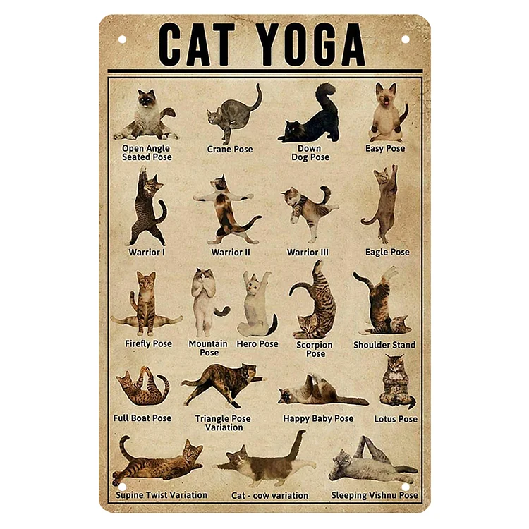 Cat - Cat Yoga Vintage Tin Signs/Wooden Signs - 7.9x11.8in & 11.8x15.7in