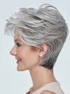 Silver Gray Fluffy Straight Hair Oblique Bangs Short Hair