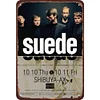 Suede - Vintage Metal Signs - 20*30cm/30*40cm - Music