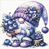 (US Local)Gnome - 9CT Partial Beaded Cross Stitch Kit(39x39cm)