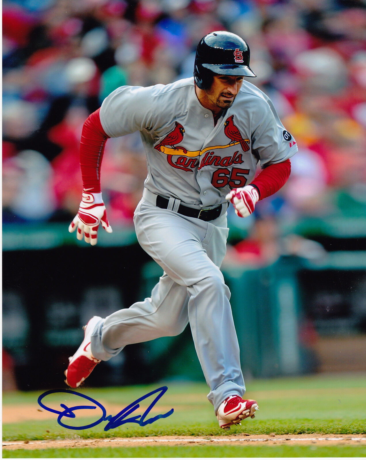 DEAN ANNA ST. LOUIS CARDINALS ACTION SIGNED 8x10