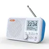C10 2.4 inch Color LCD Screen Digital Desktop Alarm Clock DAB DAB+ FM Radio