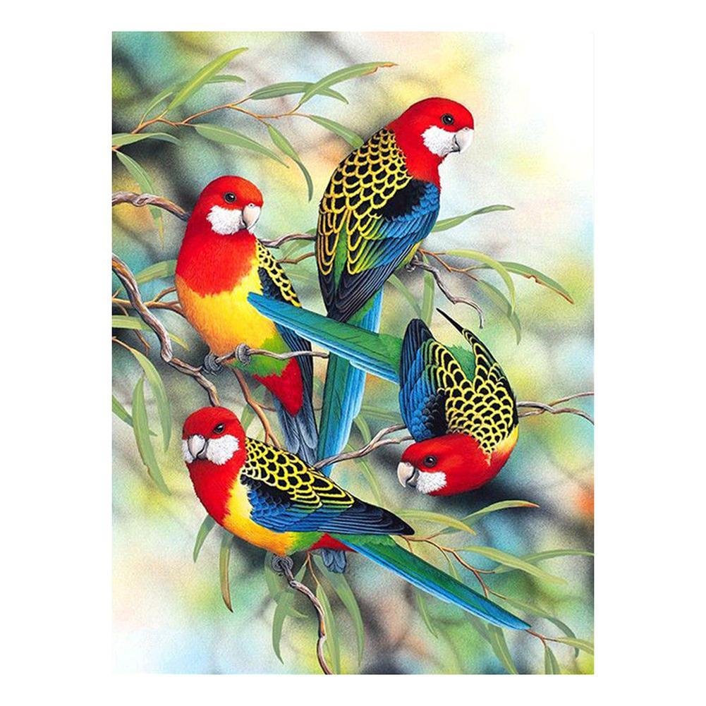 Full Round Diamond Painting Bird Parrot (38*30cm)