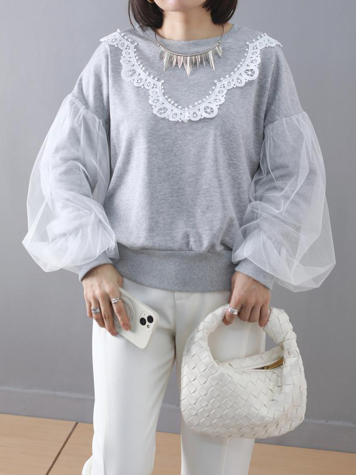 Lace Trim Round Neck Mesh Lantern Long Sleeve Top