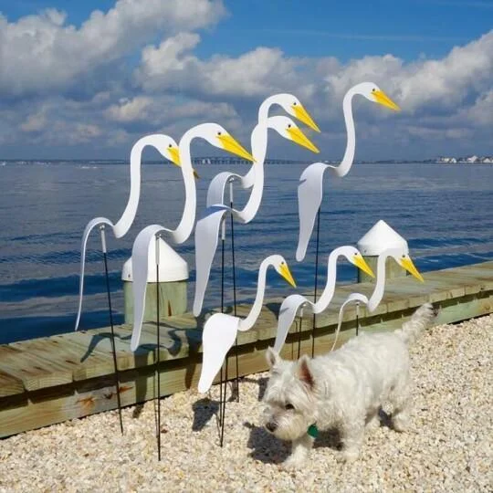 Hugoiio™ 🔥 ONLY $ 9.99 /PC 🔥 Swirl Bird（8 colors）-a Whimsical And Dynamic Bird That Spins With the Slight Garden Breeze