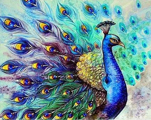 Peacock Paint By Numbers Kits UK With Frame PH9456