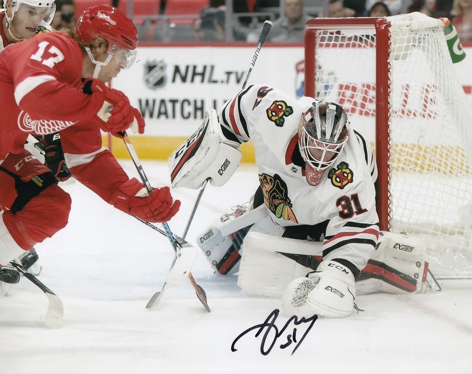 ANTON FORSBERG signed (CHICAGO BLACKHAWKS) autograph HOCKEY 8X10 Photo Poster painting W/COA #1