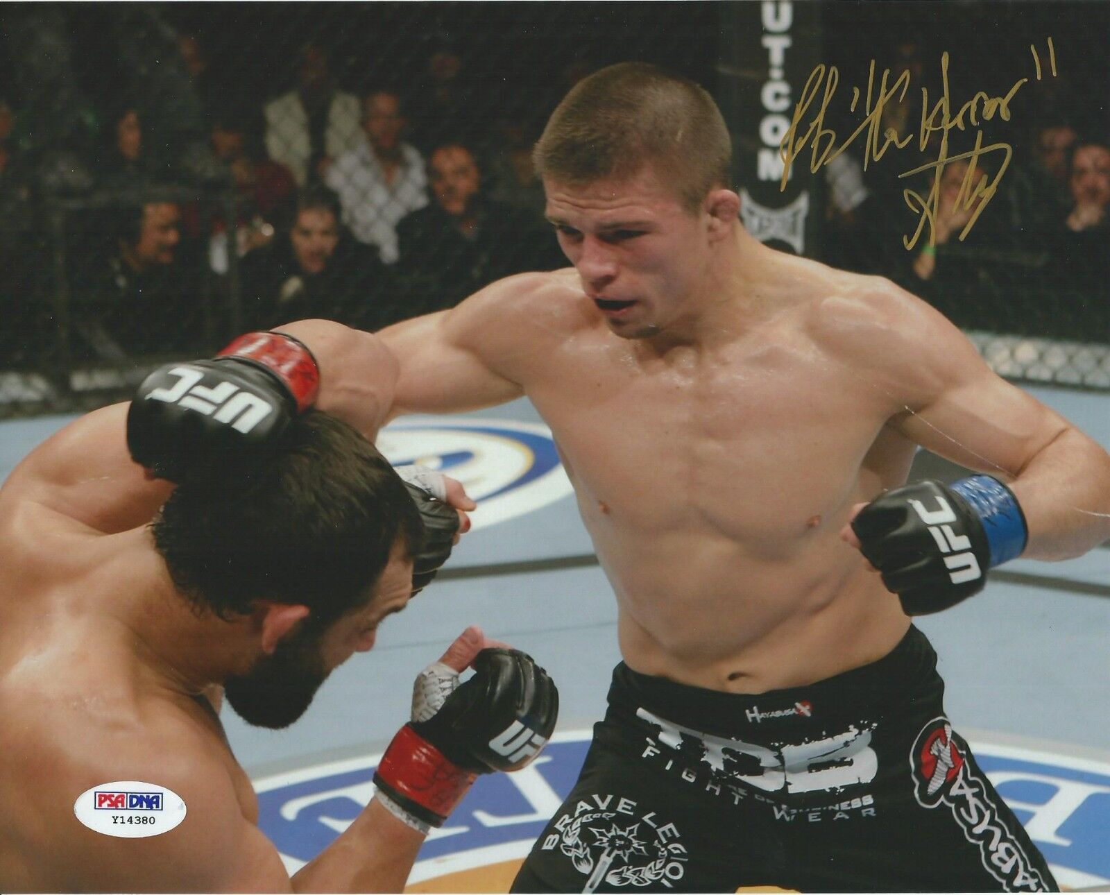 Rick Story Signed UFC 8x10 Photo Poster painting PSA/DNA COA Picture Autograph 167 158 130 117