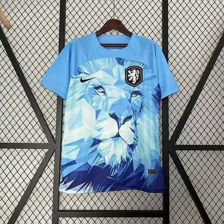 24/25 Netherlands pre-match training football shirt