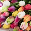 Colorful PU Texture Long Stem Tulip Artificial Flower