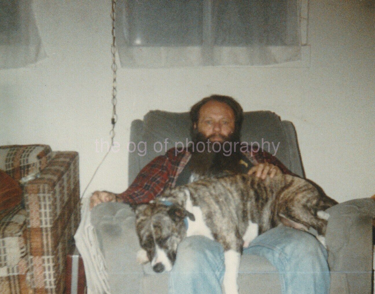 Beard Man With His Lap Dog FOUND Photo Poster painting Original Color Snapshot VINTAGE 96 11 I