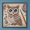 Eule F speziell geformte 5D-DIY-Teilbohrer-Diamanten-Punkte-Edelstein-Kunst-Kits f&uuml;r Erwachsene Anf&auml;nger Wohndekoration Diamanten-Gem&auml;lde Edelstein-Ku