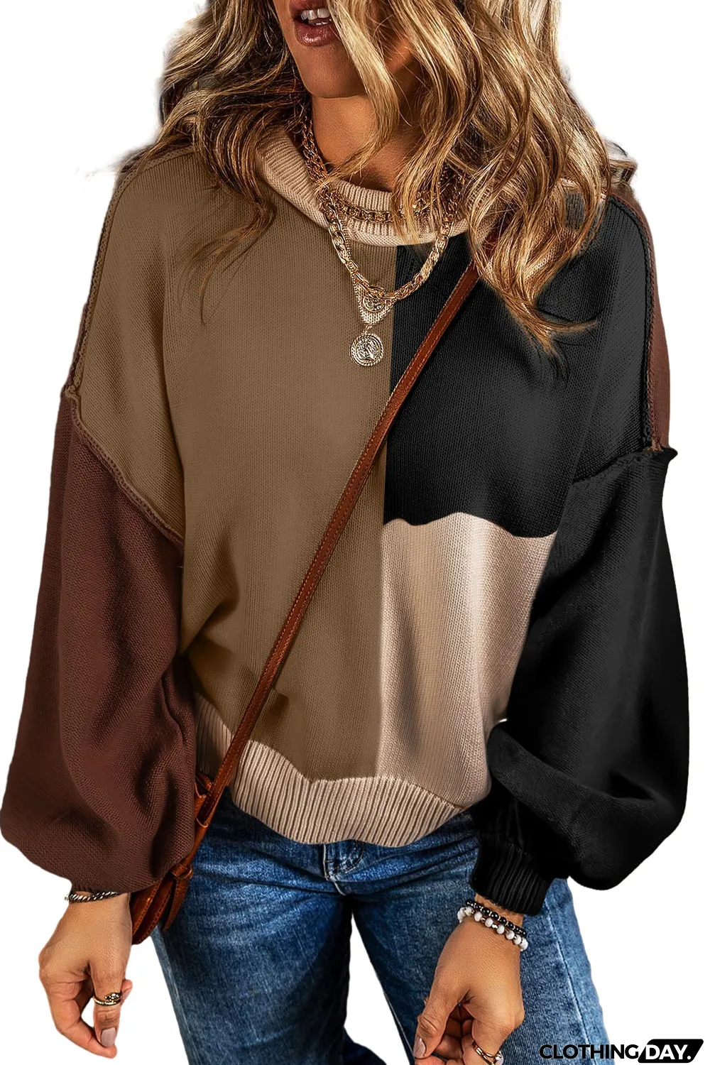 Chicory Coffee Colorblock Exposed Seam Balloon Sleeve Sweater