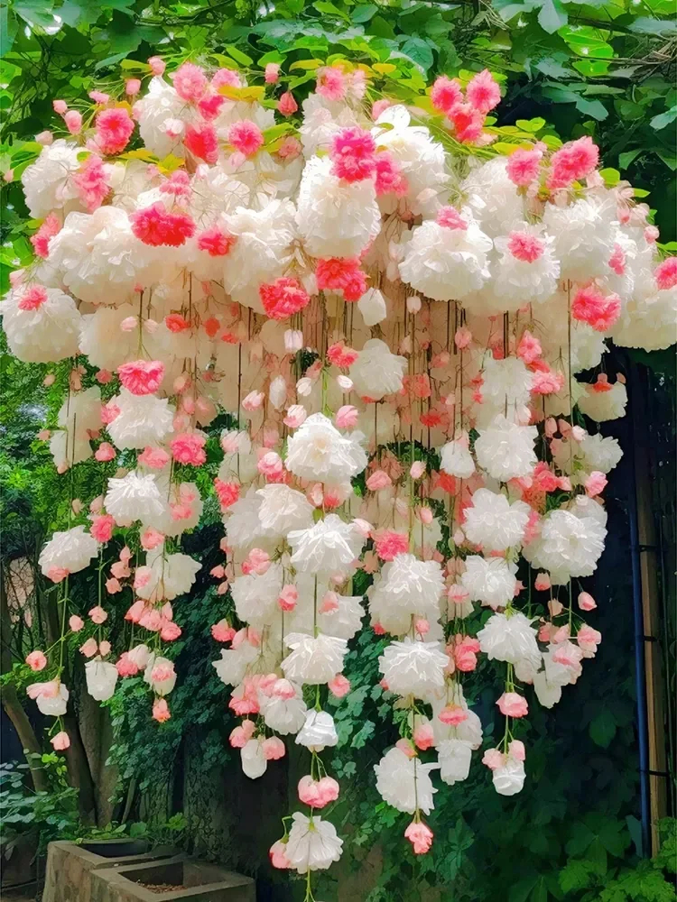 Weeping Begonia Seeds-Malus halliana