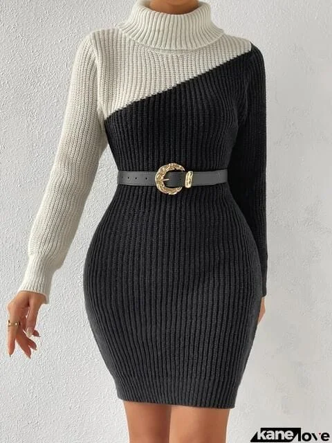 Contrast Turtleneck Sweater Dress