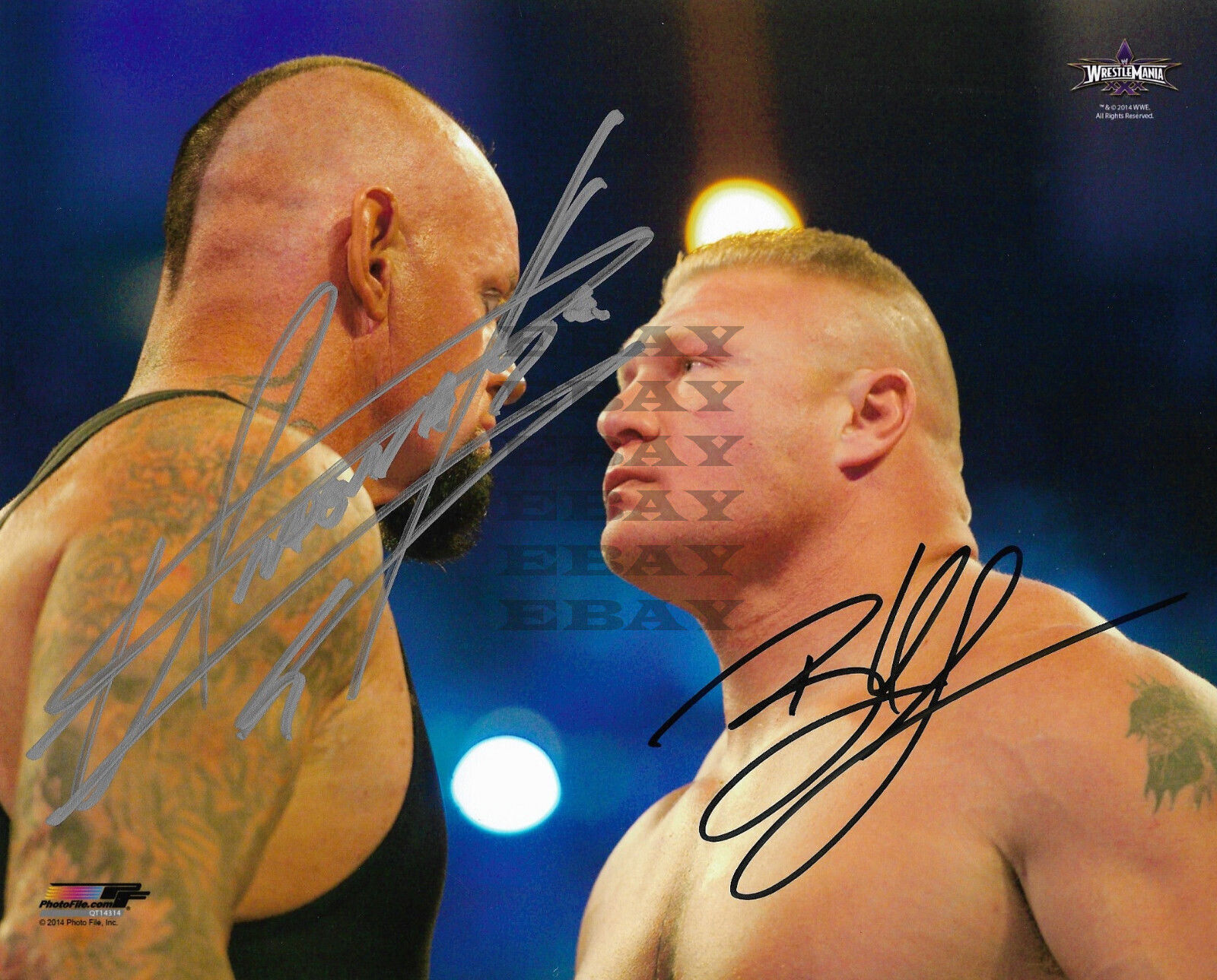 WWE BROCK LESNAR AND UNDERTAKER Signed 8x10 autographed Photo Poster painting Reprint