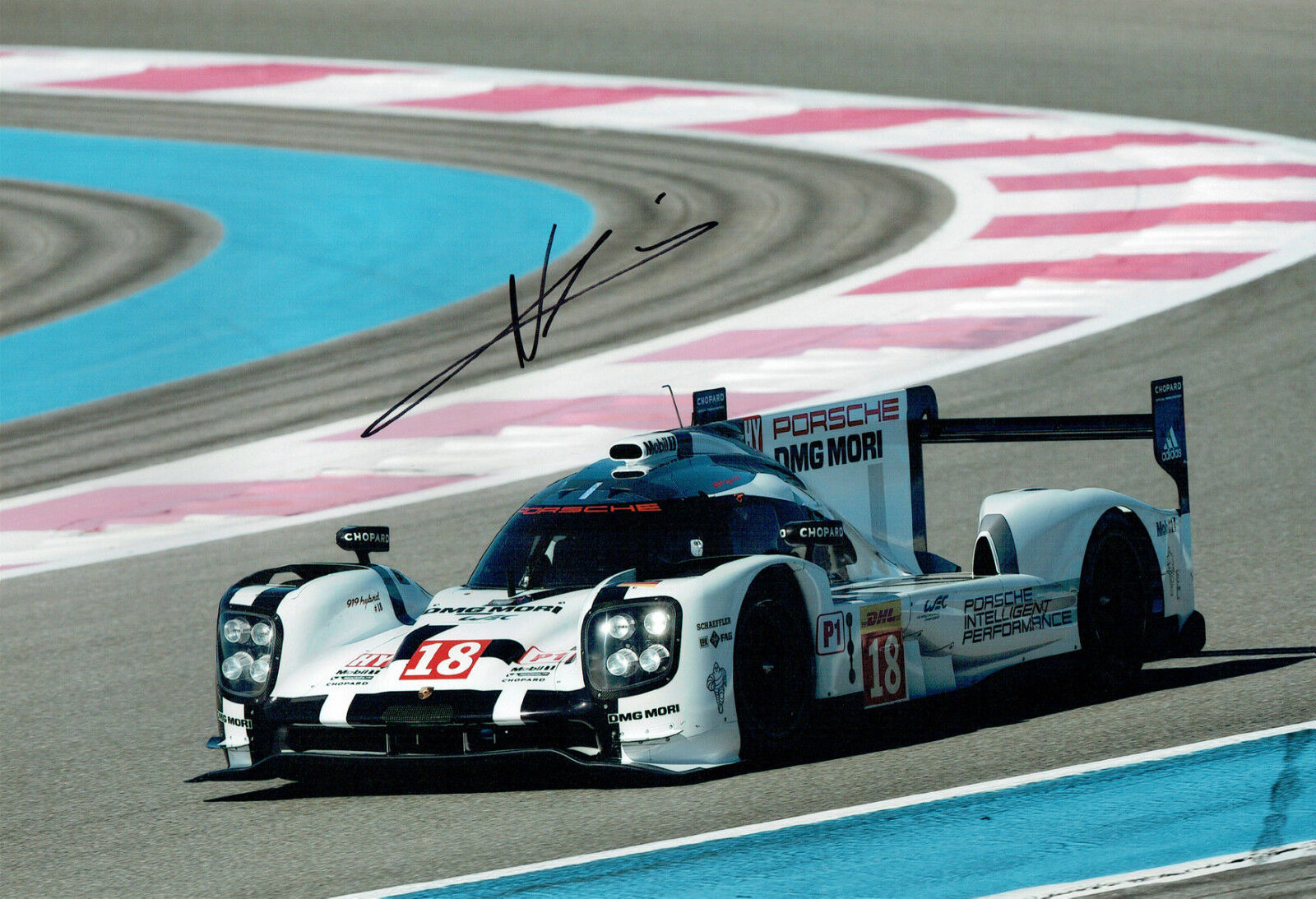 Neel JANI Signed Autograph Photo Poster painting B PORSCHE World Endurance Driver AFTAL COA