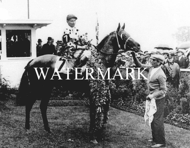 GALLANT FOX 1930 Triple Crown Winner Horse Racing 8 x 10 Photo Poster painting Race