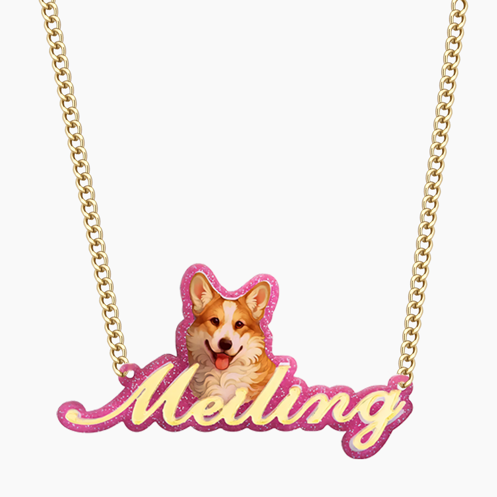 Acrylic Nameplate Necklace For Pet Dogs