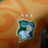 2024 Players Ivory Coast Soccer Jersey Home