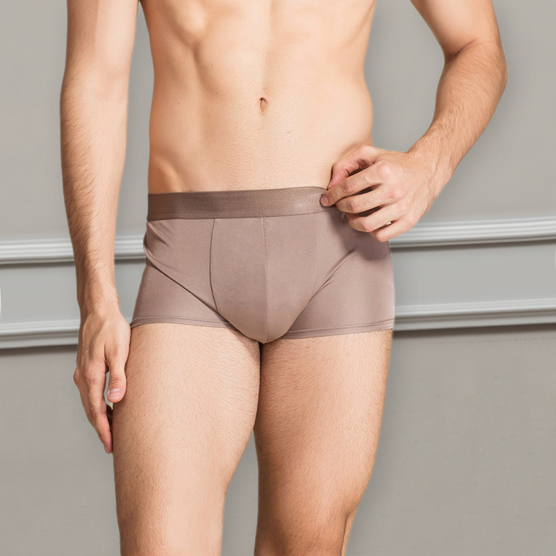 Men's Silk Trunks Underwear Breathable Style REAL SILK LIFE