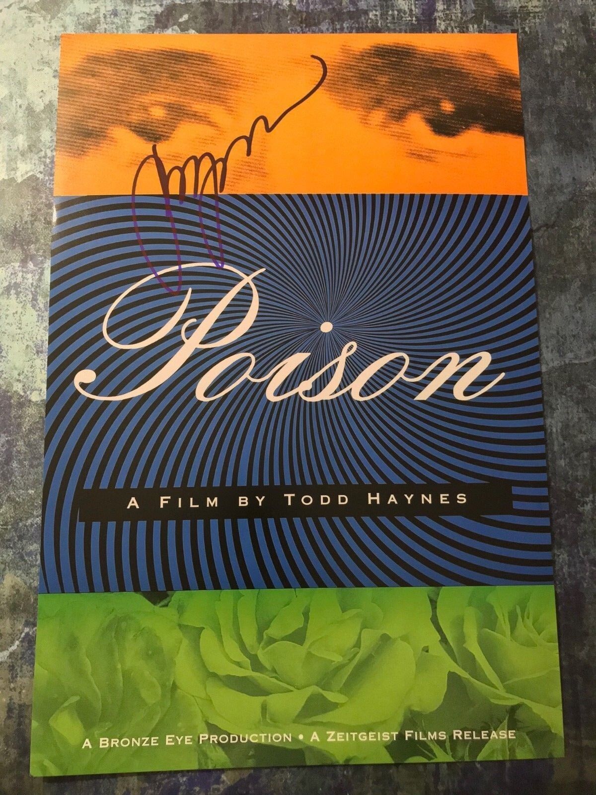 GFA Poison Director * TODD HAYNES * Signed Autographed 12x18 Photo Poster painting PROOF COA