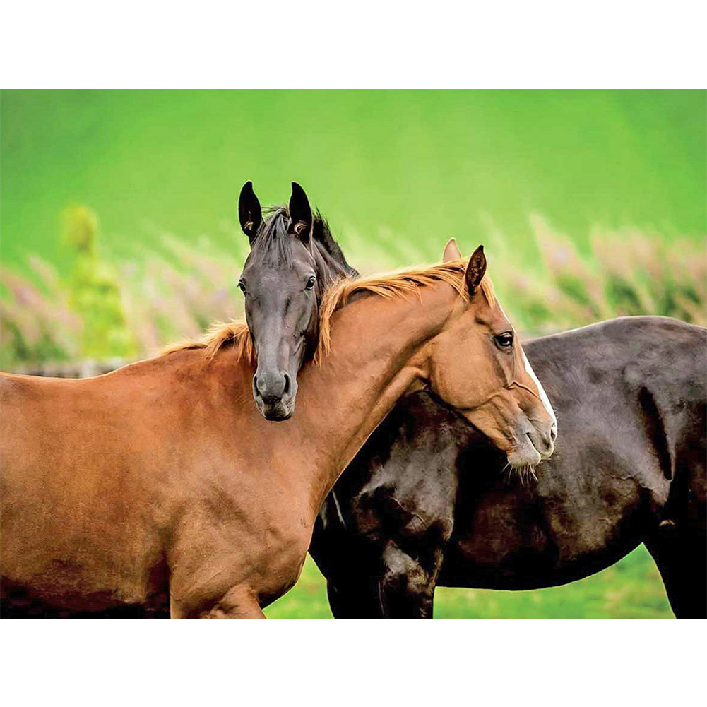 

Two Horses - Round Drill Diamond Painting - 50*40CM, Round diamond 50*40cm, 501 Original