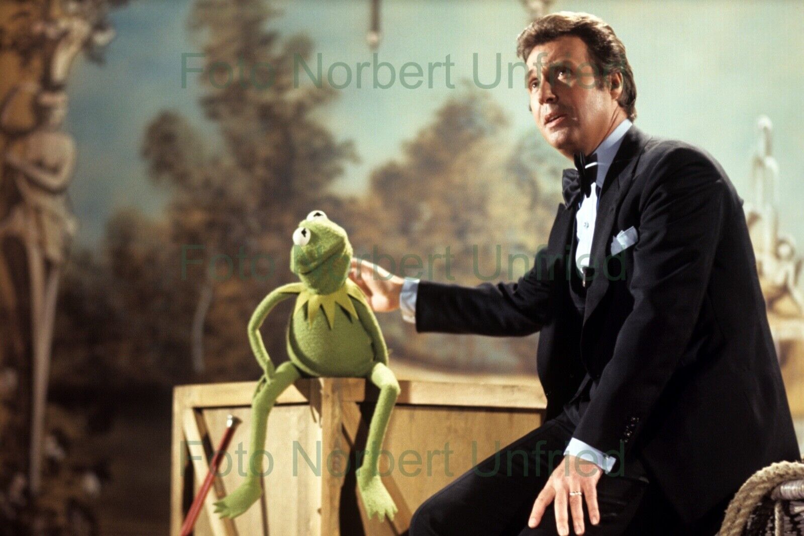 Peter Alexander Kermit Muppet Film TV Starfoto Foto 20 x 30 cm (Nr 2-268