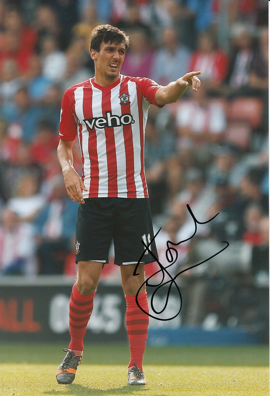 SOUTHAMPTON HAND SIGNED JACK CORK 12X8 Photo Poster painting.