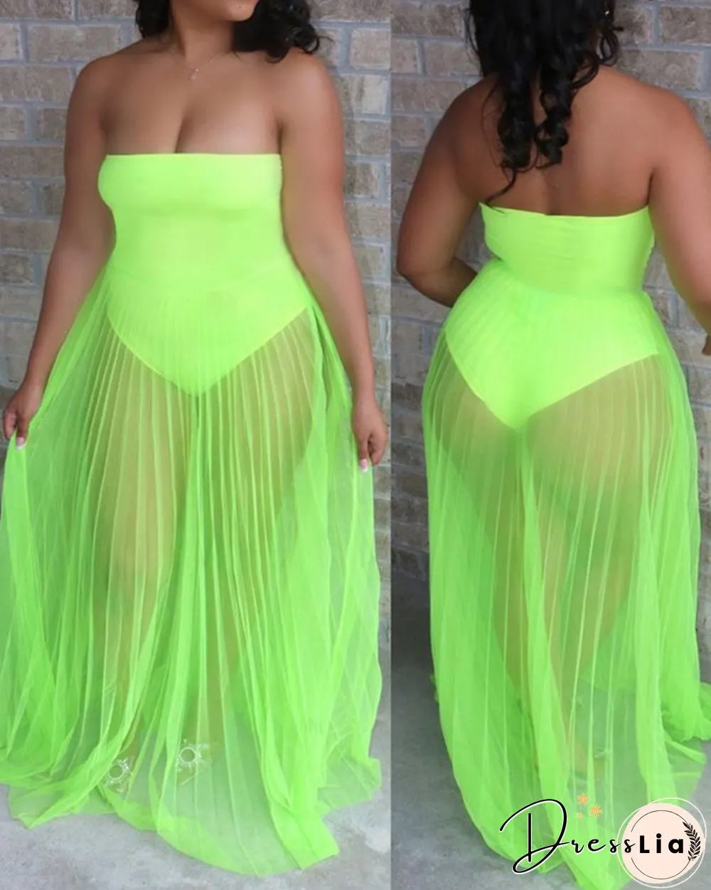 Off Shoulder Sleeveless Plain Sheer Mesh Dress