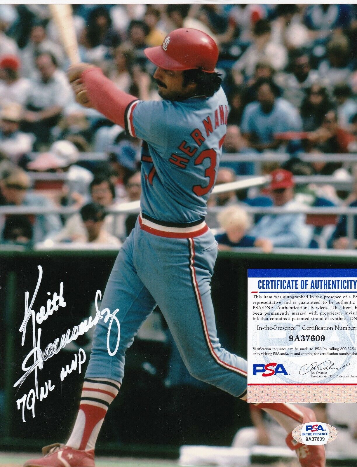 KEITH HERNANDEZ ST. LOUIS CARDINALS PSA AUTHENTICATED 79 NL MVP SIGNED 8x10