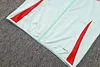 Joyfball 2024/2025 Spain Long Zipped Jacket Light Green Soccer Jersey 1:1 Thai Quality 
