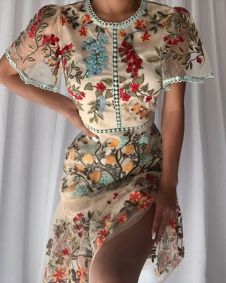 Women's Round Neck Embroidered Mesh Dress