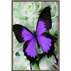 Butterfly | Full Round Diamond Painting Kits