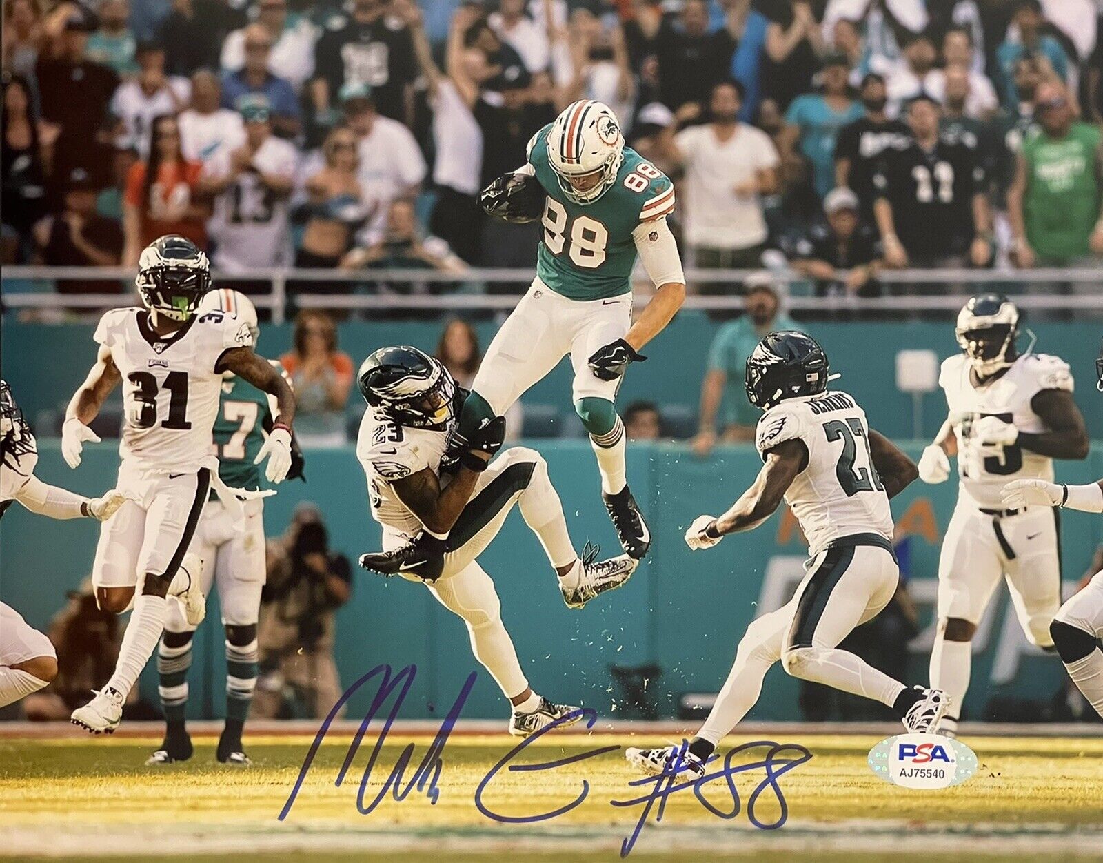 Mike Gesicki Signed Autographed Miami Dolphins 8x10 Photo Poster painting PSA/DNA