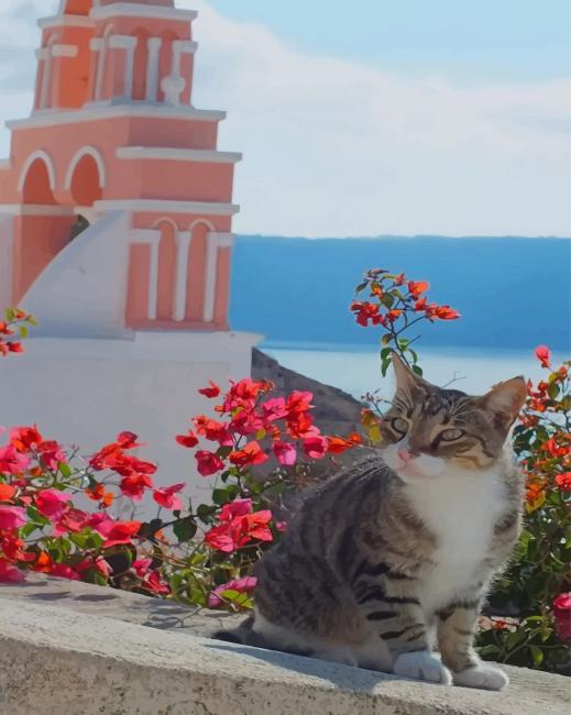 

Cat Greece Island – Paint By Numbers - 40*50CM, 501 Original