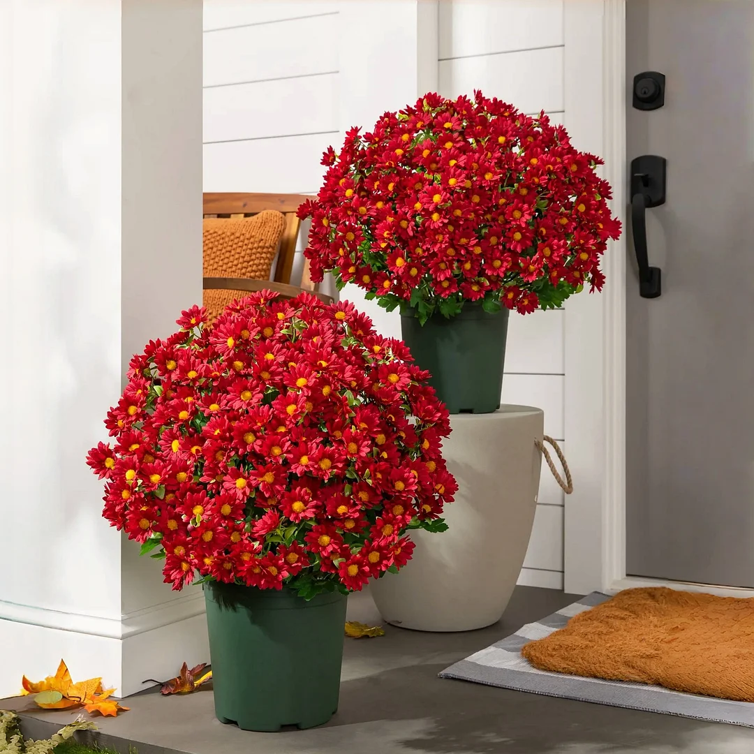 🏆Flash Sale⚡Artificial Outdoor Sunset Mums Flowers - UV resistant. Waterproof. Windproof