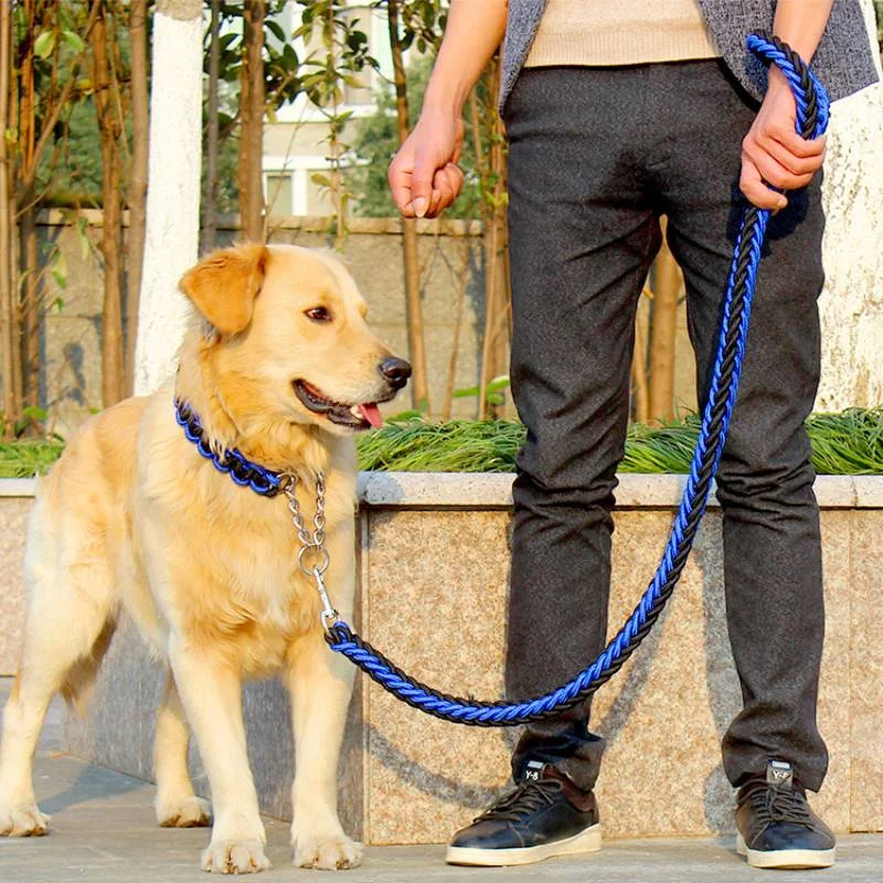 Dog Easy Walking Chain with Collar, Durable Braided Dog Leash