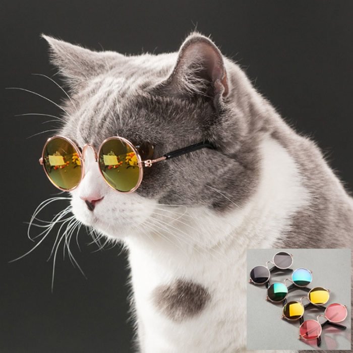 Cool Cat Sunglasses Pet Accessory