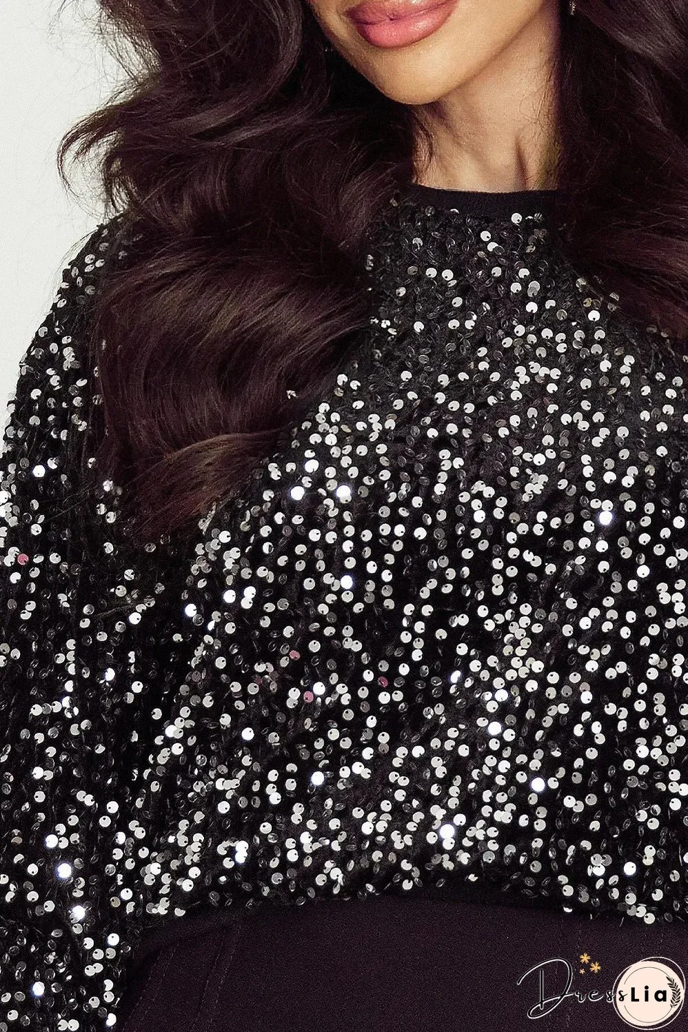 Sequin Round Neck Long Sleeve Top
