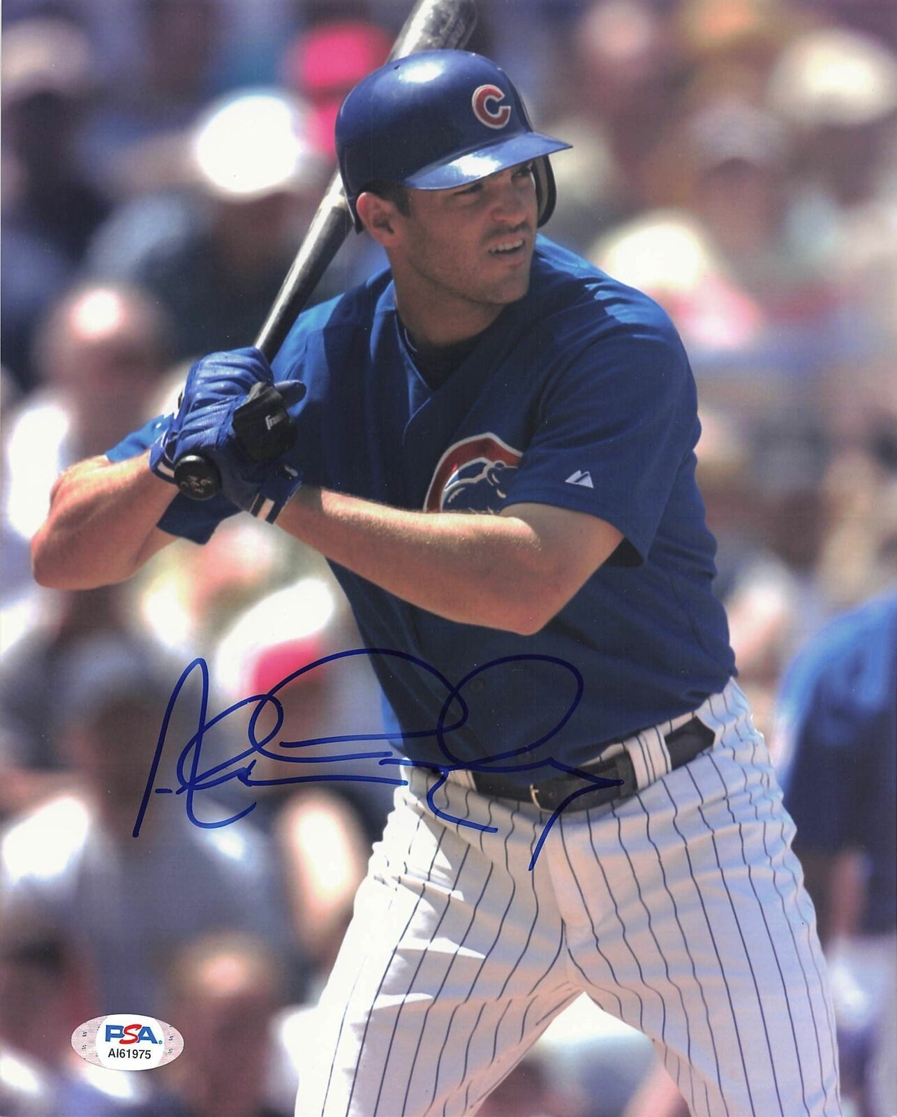 ALEX GONZALEZ signed 8x10 Photo Poster painting PSA/DNA Chicago Cubs Autographed