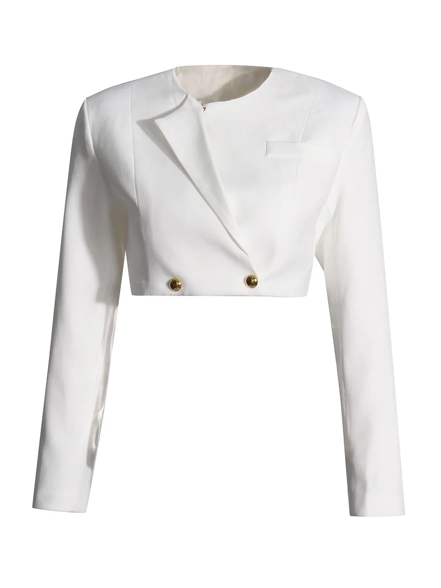 Toloer Toloer Casual Suit Female 2024 Summer New Long Sleeve Short Suit Coat Mesh Open Fork Wide Leg Trousers-Outfit Ideas