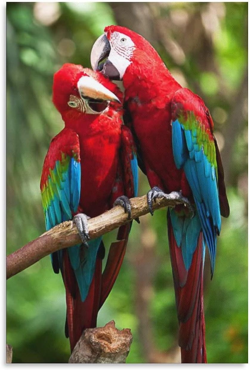 Macaw Parrot Pet Birds Beautiful (8) Canvas Poster Bedroom Decor Sports Landscape Office Room Decor Gift,Canvas Poster Wall Art Decor Print Picture Paintings for Living Room Bedroom Decoration 8x12inc 8x12inchs(20x30cm)