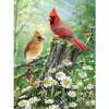 Bird  | Full Round Diamond Painting Kits