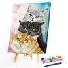 Painting By Numbers - DIY Cat(40*50cm)